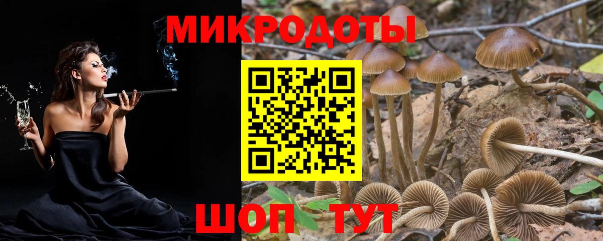 Новоуральск  Галлюциногенные грибы Magic Shrooms  Вход с VPN 